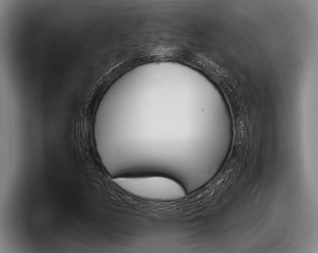 X0000098001158200803241036