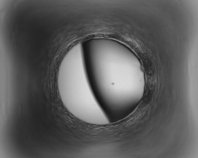 X0000098001159200803241036