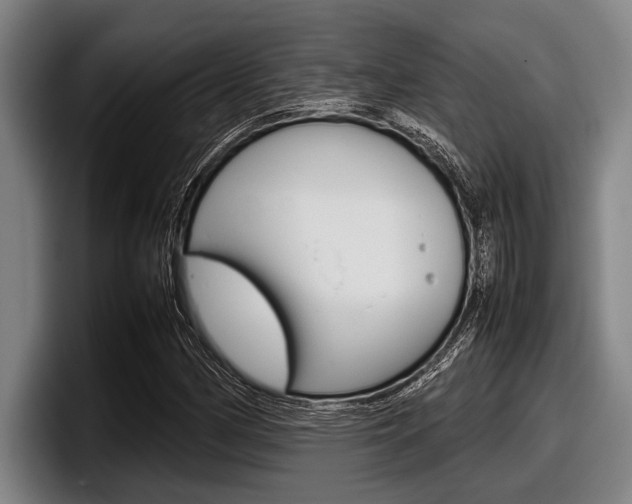X0000098001162200803241036