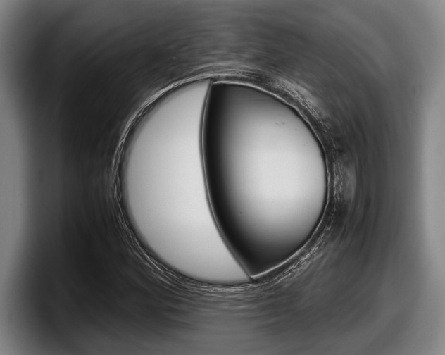 X0000098001164200803241036