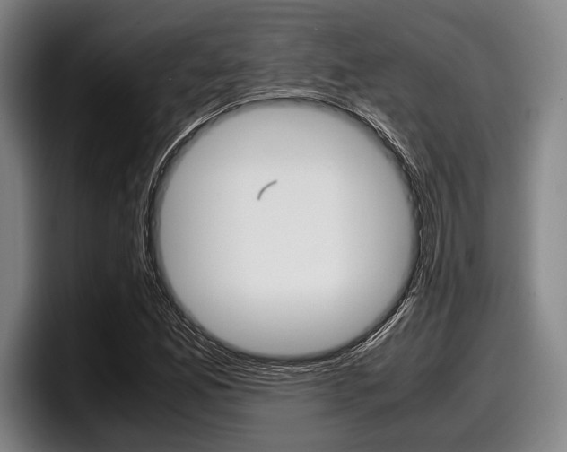 X0000098001165200803241036