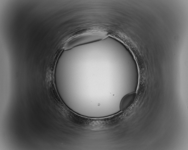 X0000098001169200803241036