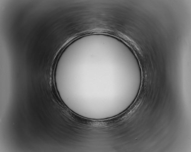 X0000098001170200803241036