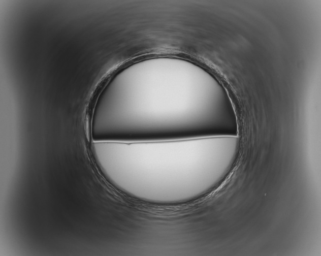 X0000098001171200803241036