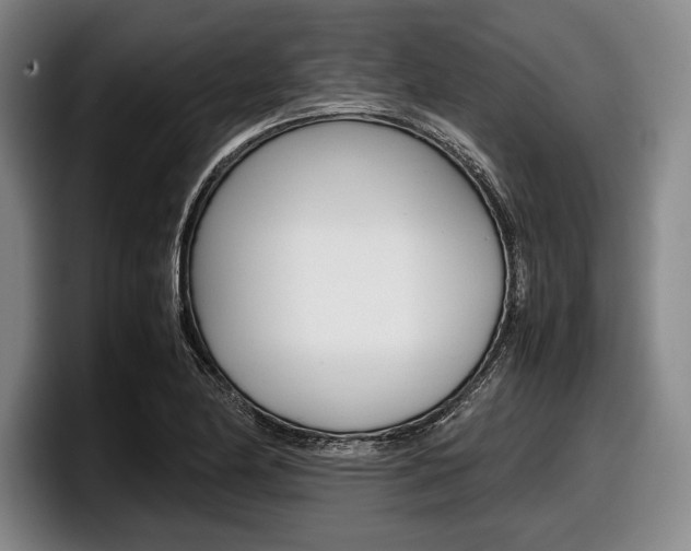 X0000098001174200803241036