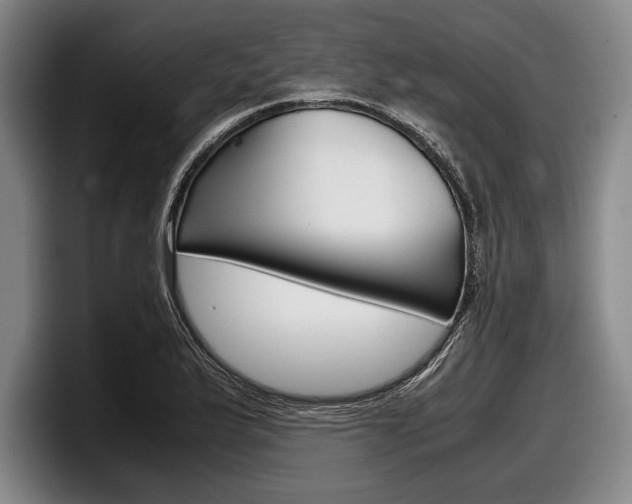 X0000098001175200803241036