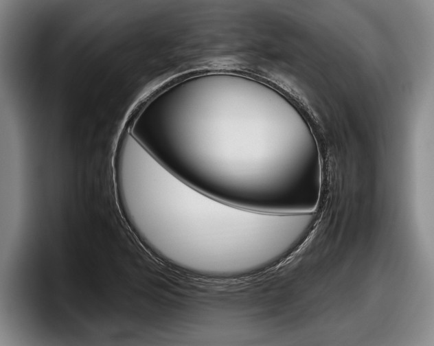 X0000098001176200803241035