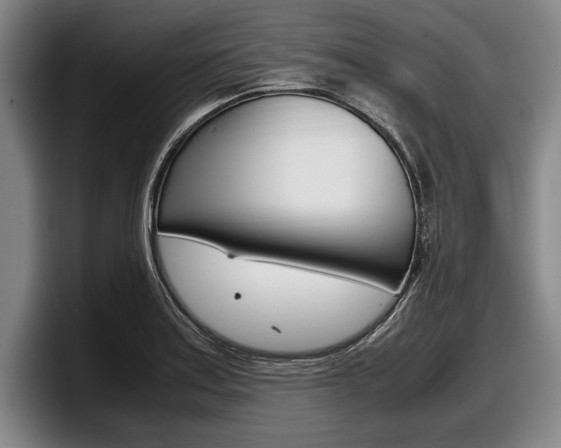 X0000098001179200803241035