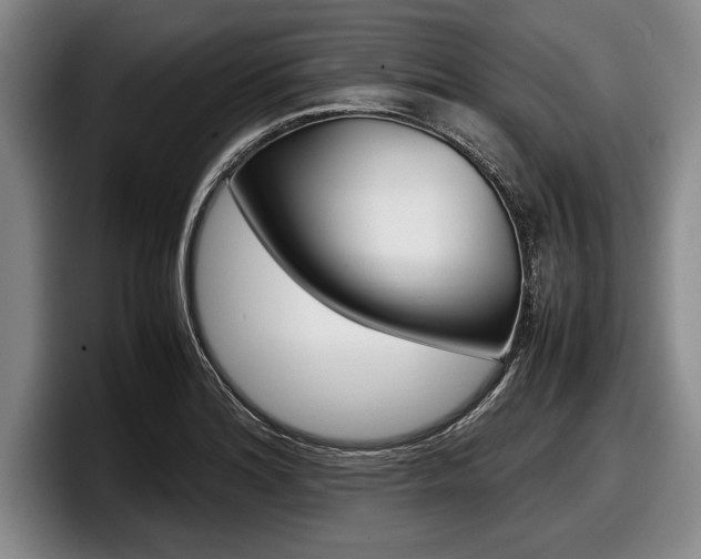X0000098001180200803241035