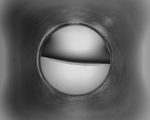 X0000098001183200803241035