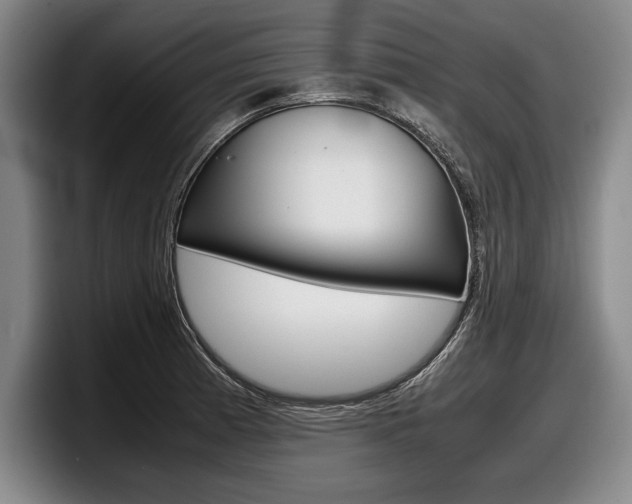 X0000098001185200803241035