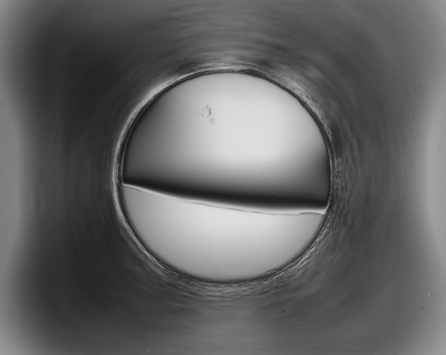 X0000098001187200803241035