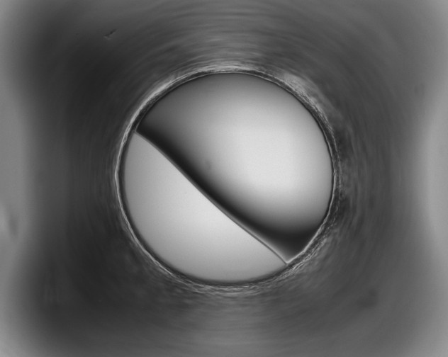 X0000098001189200803241035