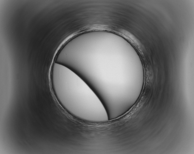 X0000098001190200803241035