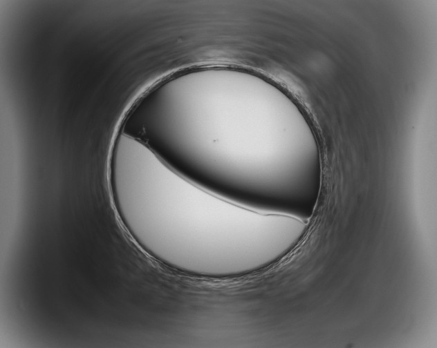 X0000098001191200803241035