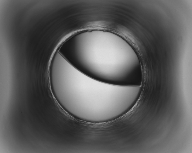 X0000098001192200803241035