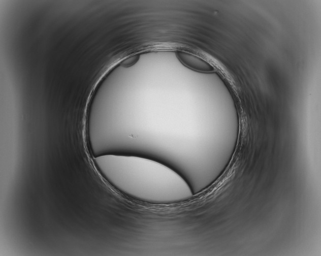 X0000098001194200803241035