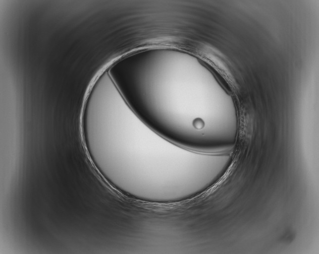 X0000098001196200803241035
