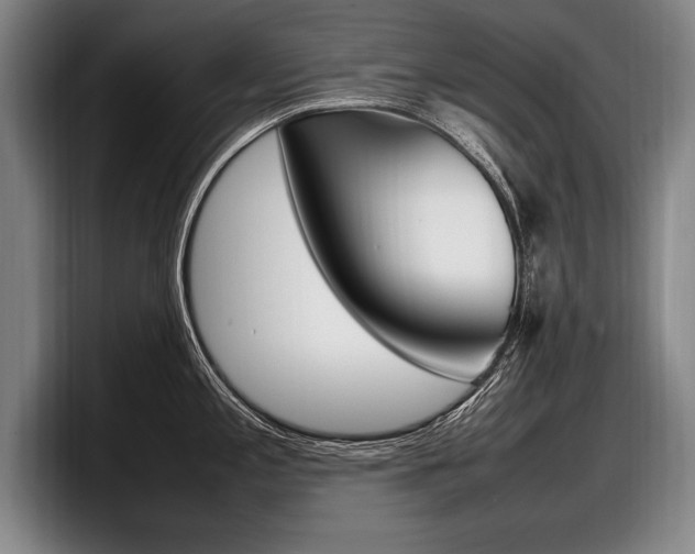 X0000098001197200803241035