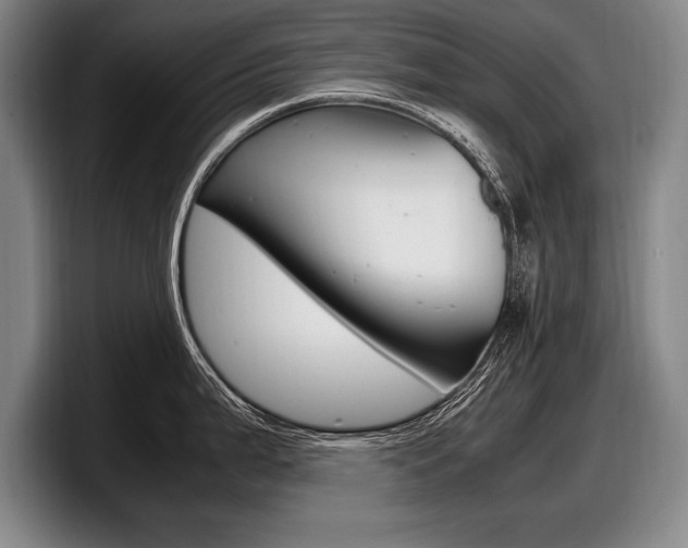 X0000098001199200803241035