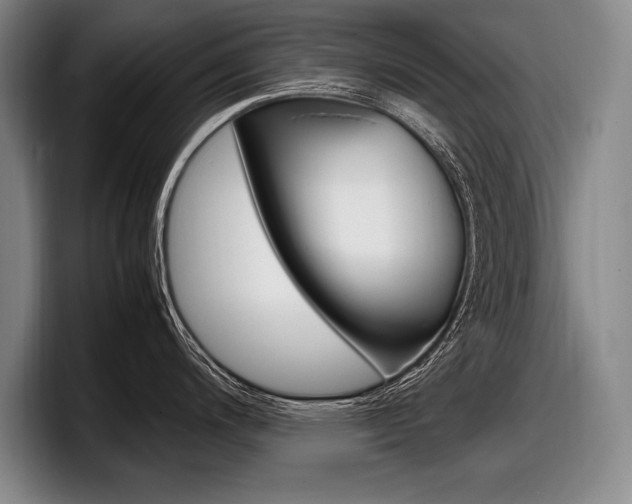 X0000098001200200803241035