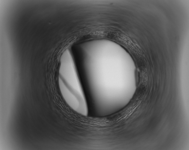 X0000098001201200803241035