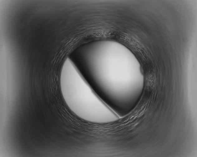 X0000098001202200803241035