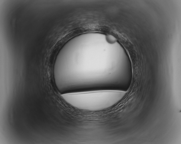 X0000098001206200803241035