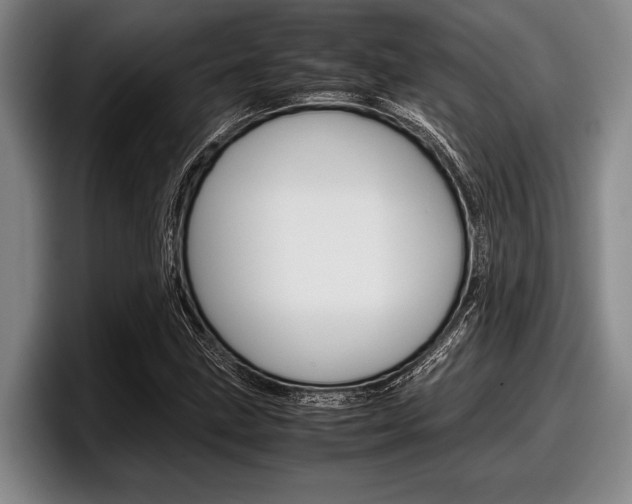 X0000098001211200803241035