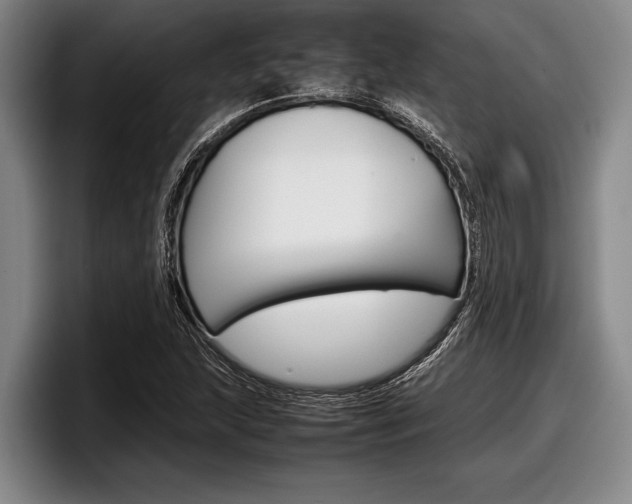X0000098001215200803241035