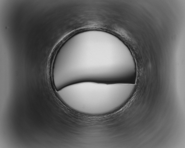 X0000098001216200803241035