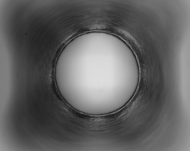 X0000098001217200803241035