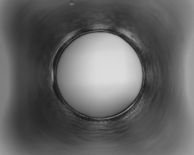 X0000098001221200803241035
