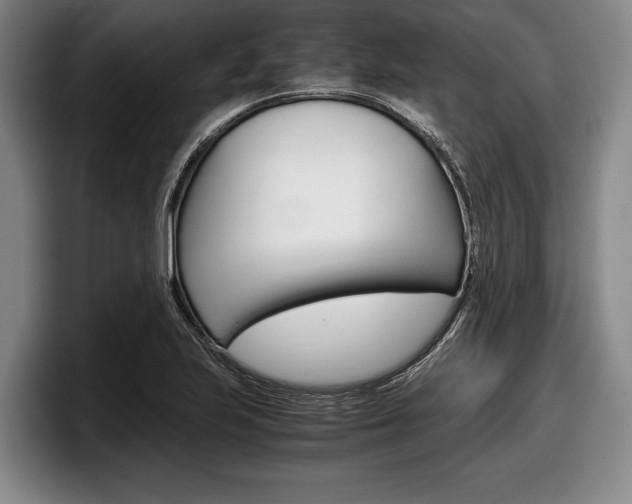 X0000098001223200803241035