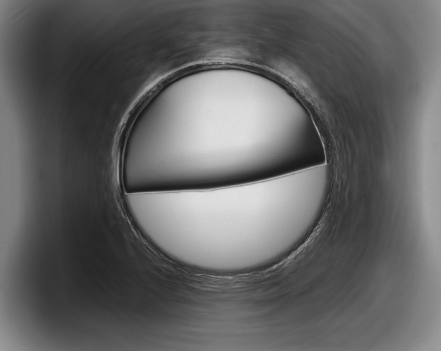 X0000098001224200803241035