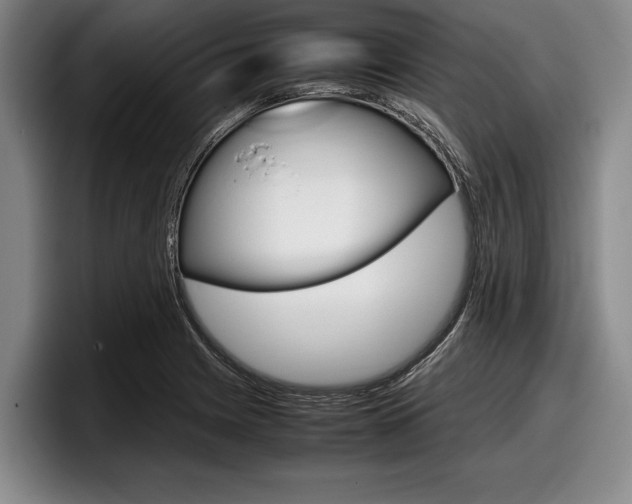X0000098001225200803241035