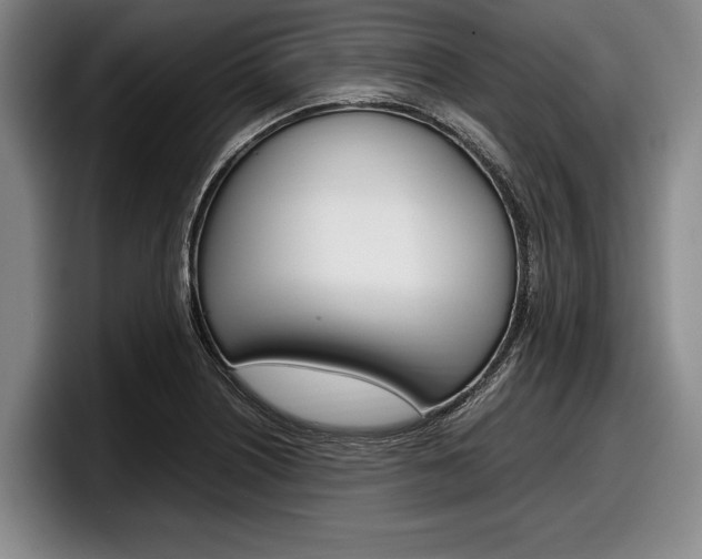 X0000098001226200803241035