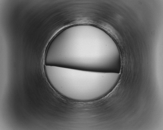 X0000098001228200803241035