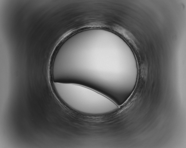 X0000098001229200803241035