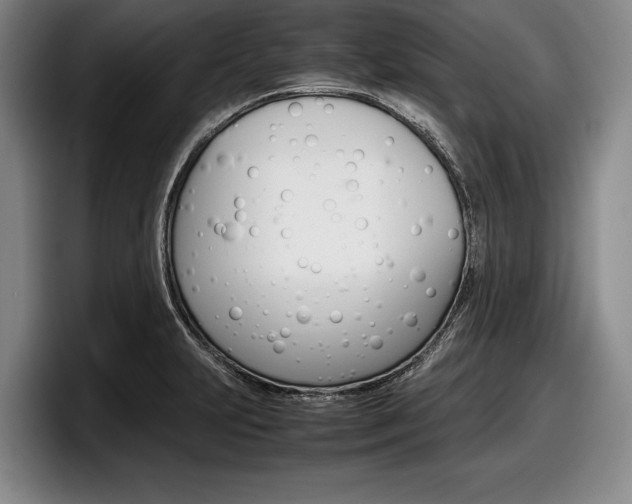 X0000098001231200803241035