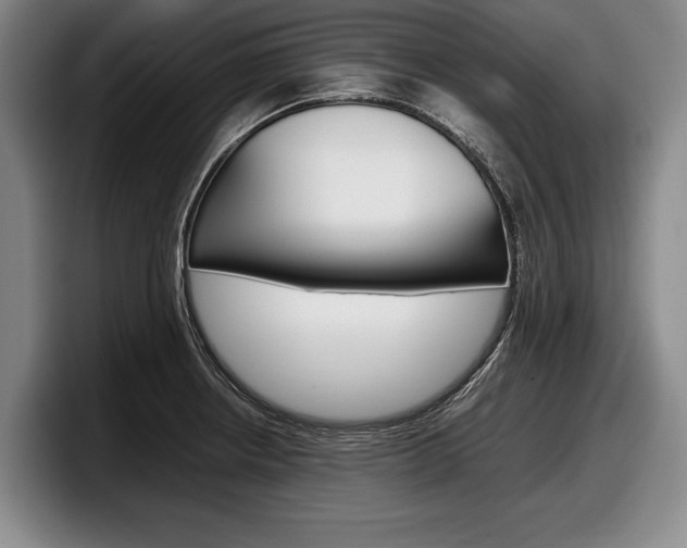X0000098001234200803241035