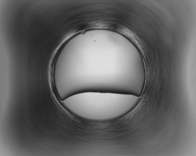 X0000098001235200803241035
