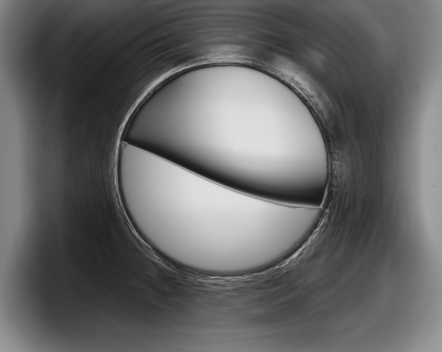 X0000098001236200803241035