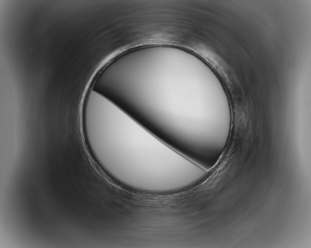 X0000098001238200803241035