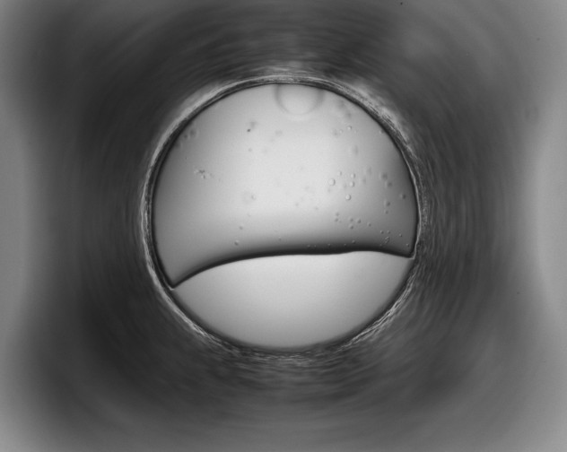 X0000098001239200803241035