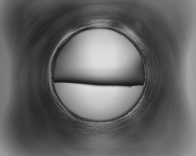 X0000098001240200803241035