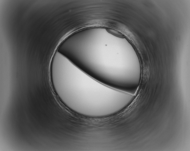 X0000098001242200803241035