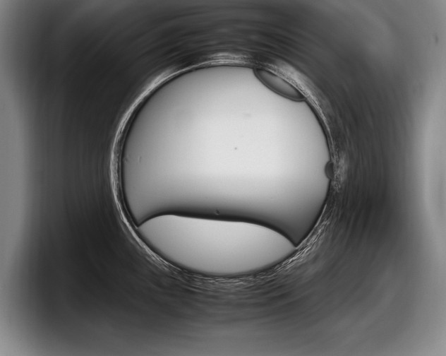X0000098001243200803241035