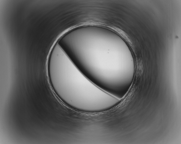 X0000098001246200803241035