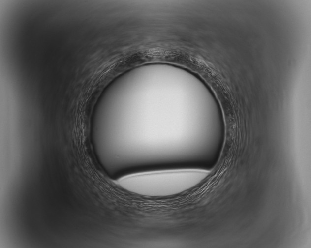 X0000098001253200803241034